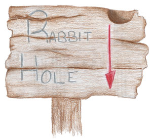 rabbit hole arrow