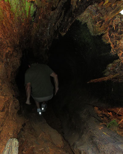 scary rabbit hole