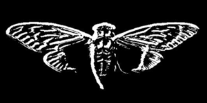 cicada 3301 logo