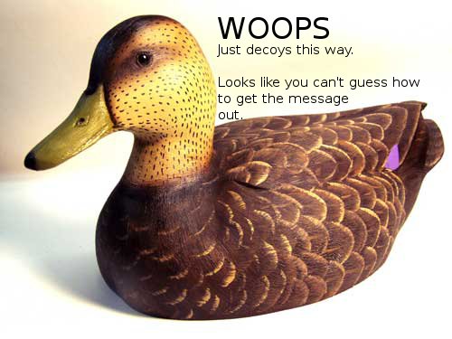 cicada 3301 duck decoy