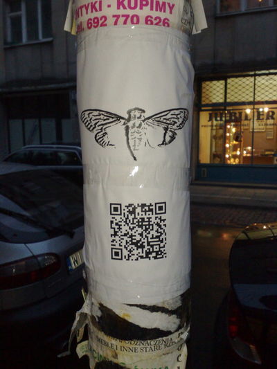 cicada 3301 poster