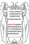 Page 12: Convert runes to letters pages/12