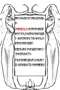 Page 13: Convert runes to letters pages/13
