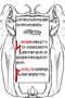 Page 14: Convert runes to letters pages/14