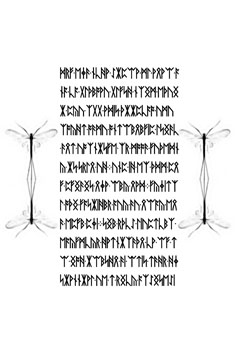Page 24 ../primus/24