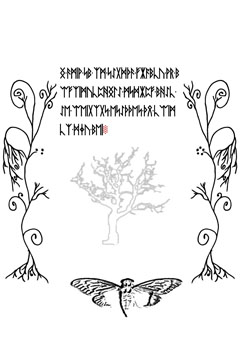 Page 55 ../primus/55